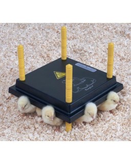 Comfort 25 Heating Plate, 15W, 15-20 Chicks
