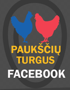Paukščių Turgus Paukščių Turgus